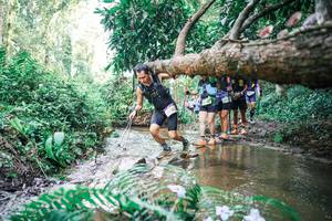 BIB: 
                            <button type="button" onclick="openModal(25478159)" class="btn btn-primary btn-sm float-right btn-popup" data-toggle="modal" data-target=".modal-high-quality">
                        <i class="fas fa-shopping-cart"></i> Add to Cart
                    </button>
                                            <button type="button" onclick="isThisMe(25478159, true)" class="btn btn-success btn-sm float-right btn-popup btn-isme hidden" data-toggle="tooltip" data-placement="bottom" title="นี่คือรูปของคุณใช่ไหม คลิกที่นี่เพื่อเอาเข้าอัลบั้ม">
                        <i class="fas fa-plus"></i> Add to album
                    </button>
                    <button type="button" onclick="isThisMe(25478159, false)" class="btn btn-warning btn-sm float-right btn-popup btn-isnotme hidden">
                        <i class="fas fa-ban"></i> Remove from album
                    </button>